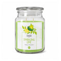 Candela Profumata Lime Frizzante 510G